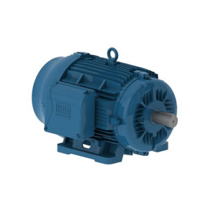 MOTOR W22 0.33 HP 02 63 220/380 C/ 6 term 50 Hz IE1 B3L(D