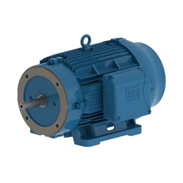 MOTOR JM/JP/JET PUMP W22 15 HP 02 160M 380/660 C/ 6