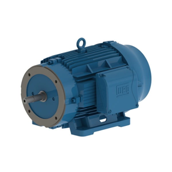 MOTOR JM/JP/JET PUMP W22 30 HP 04 180L 380-415/660//440-460 C/ 6 term 50 Hz IE3