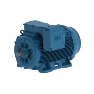MOTOR W22 200 HP 04 315S/M 380-415/660//440-460 C/ 6 term 50 Hz IE3